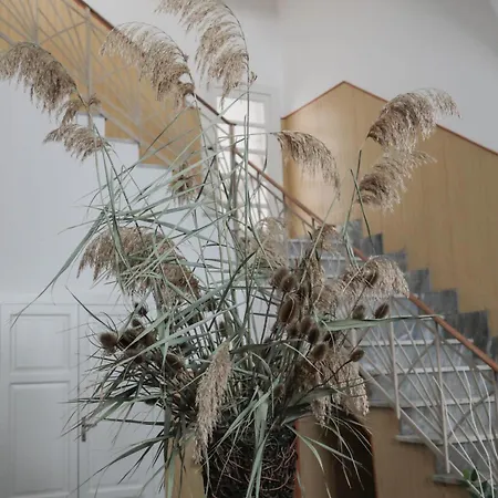 فندق مبيت وإفطار Guida 3*